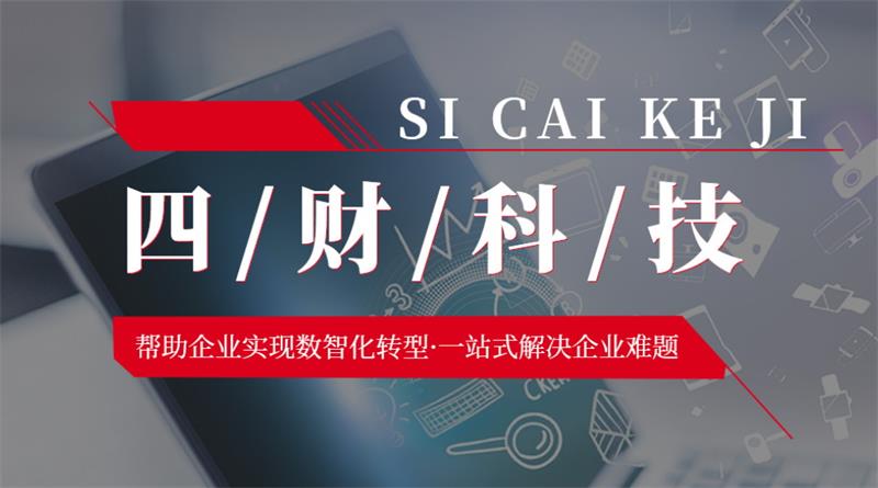 成都四財(cái)科技，助力企業(yè)實(shí)現(xiàn)數(shù)智化轉(zhuǎn)型